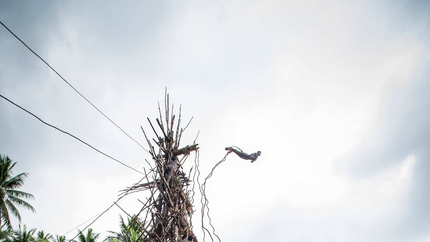 Tourists watch a man taking a nagol jump in Vanuatu.