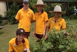 Biggenden school students Bailey Griffin, Lucas McAskil, and David and Timothy Geissler stand next to an eggplant bush.