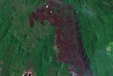 Satellite image of Tasmanian bushfire