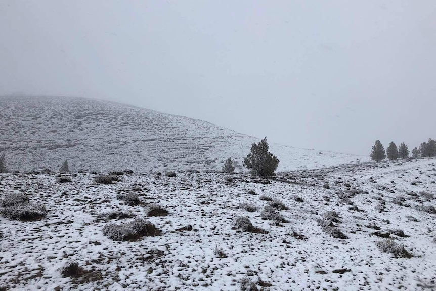 Snow covers hillsides at Willow Springs Station in the Flinders Ranges.