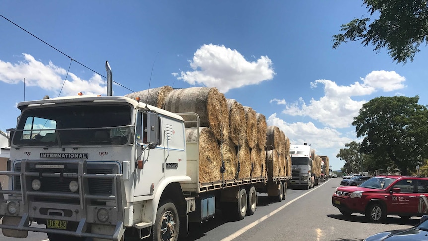 Trucks in Dunedoo's main street