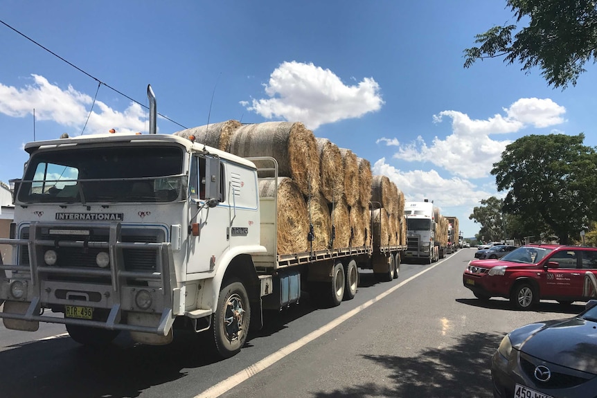 Trucks in Dunedoo's main street