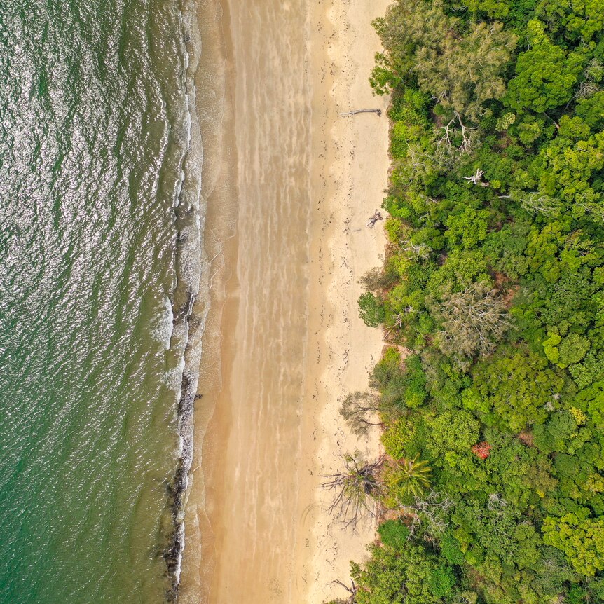 A photo taken from directly above with water on the left, rain forest on the right and a sandy beach running down the middle