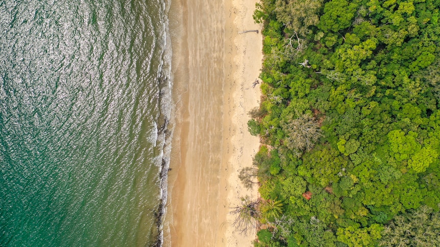 A photo taken from directly above with water on the left, rain forest on the right and a sandy beach running down the middle