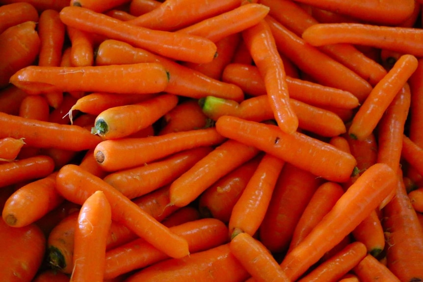 carrot generic