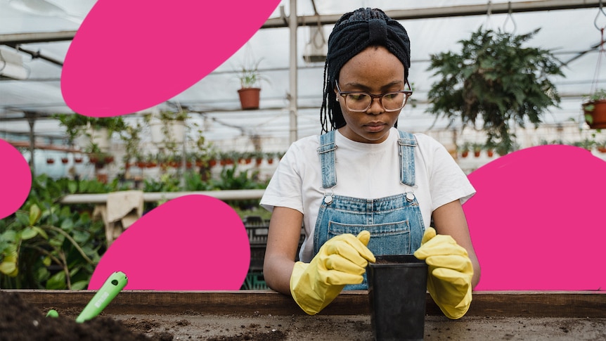 A woman gardening in a greenhouse, in a story about common questions and answers about growing fruit and veggies