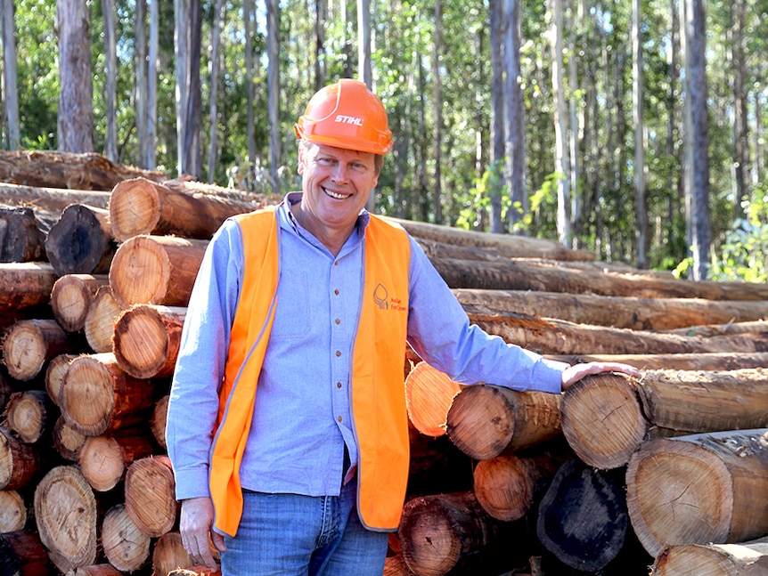 Andrew Hurford stands next to harvested timber.