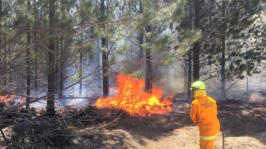 Rural Fire Service ACT firefighter hoses down blaze from Pierces Creek fire