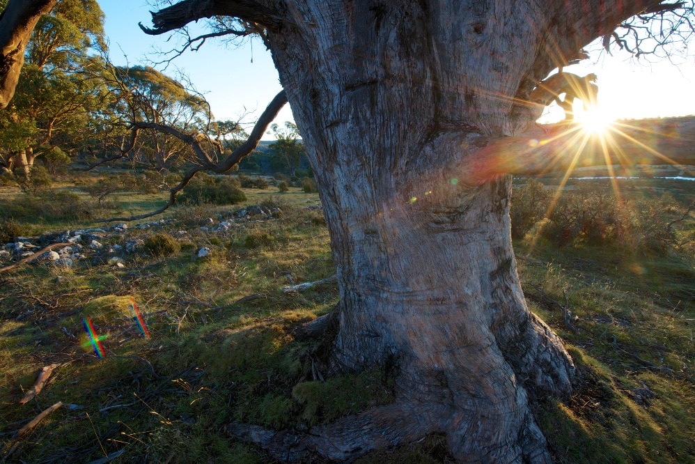 Sunny and dry in the Midlands