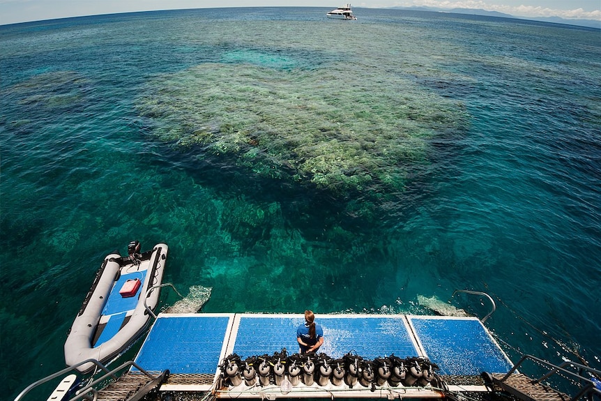 A pontoon off a reef in Cairns.