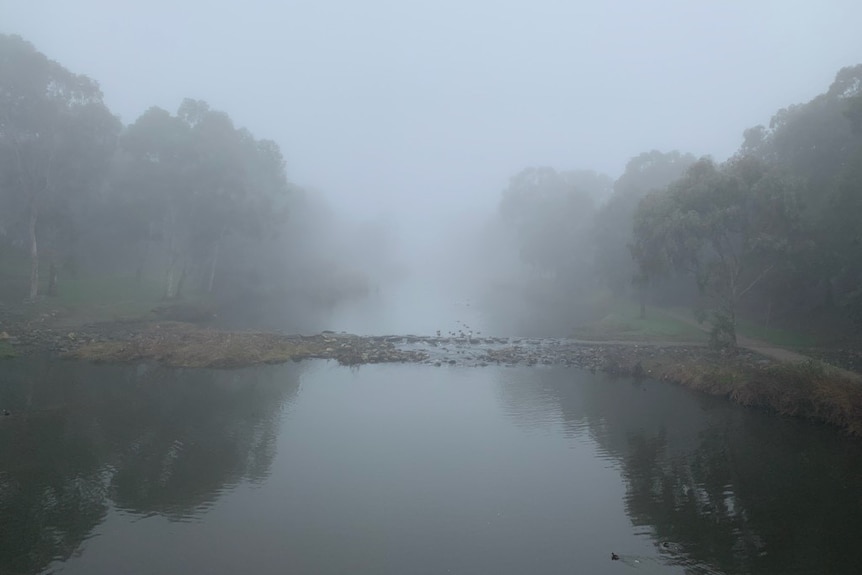 Fog over the River Torrens at Lockleys