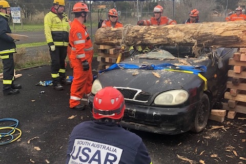A man in emergency gear squats down next to a smashed car with a fallen log lying on it.