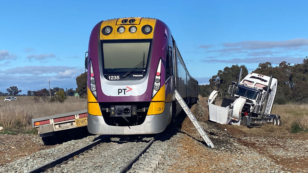 are dogs allowed on vline trains