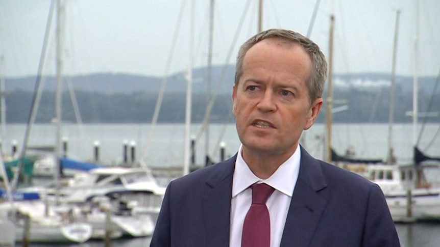 Shorten makes Labor's case for government after July 2 election call