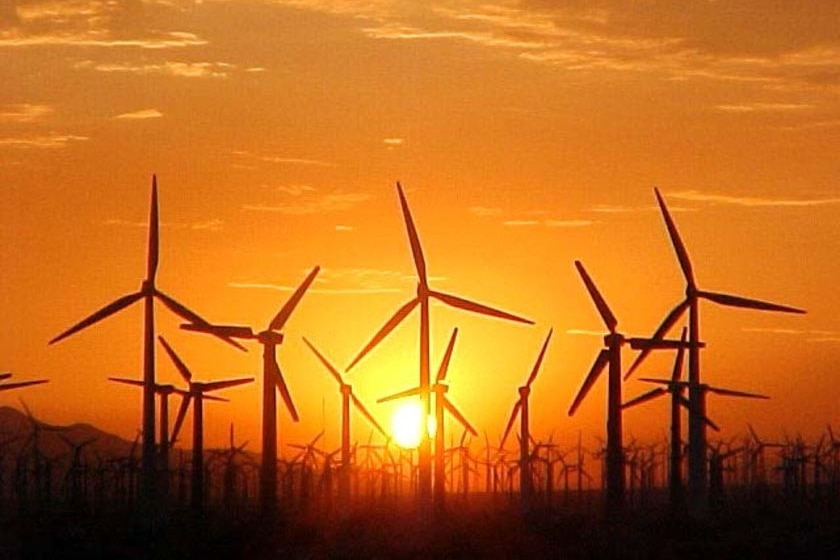Silhouetted wind turbines against a lambent sunset.