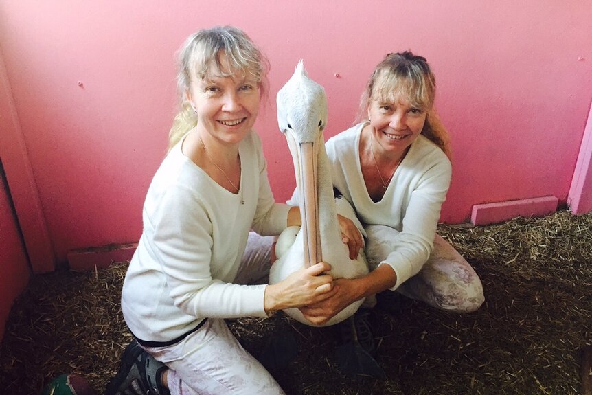Identical twins Paula and Bridgette Powers squatting down and posing with a pelican