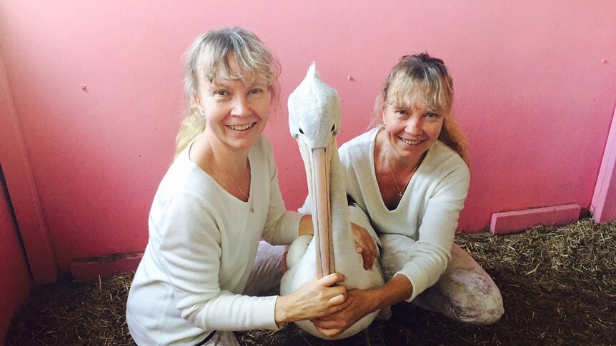 Identical twins Paula and Bridgette Powers squatting down and posing with a pelican