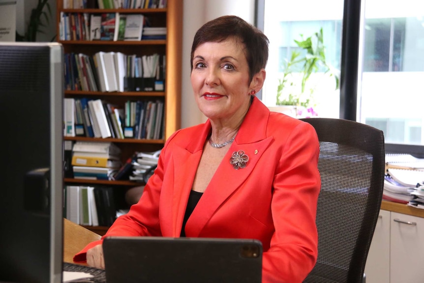 Small business ombudsman Kate Carnell sits at a computer in her office.