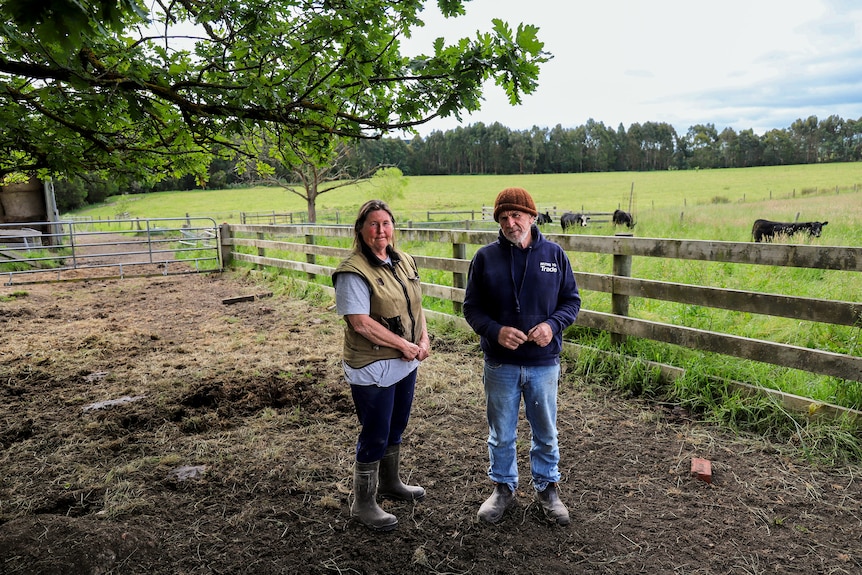 A man and woman stand in a dirt covered agricultural pen with green pastures behind them