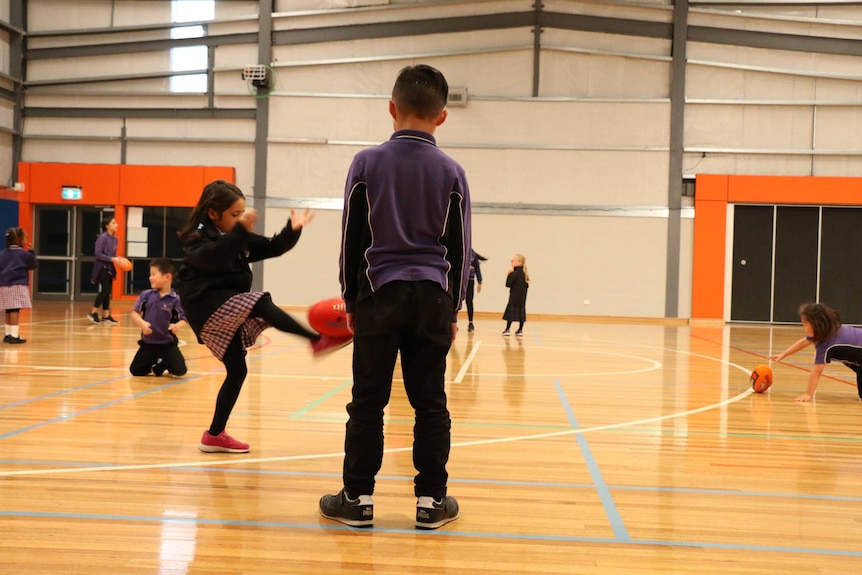 A shot of children playing sport in a gymnasium, a boy faces away from the camera.