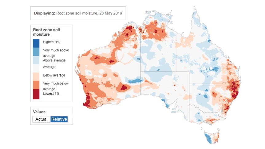map of Australia, blue in the middle (above average root zone soil moisture) and red along the coasts (below average)