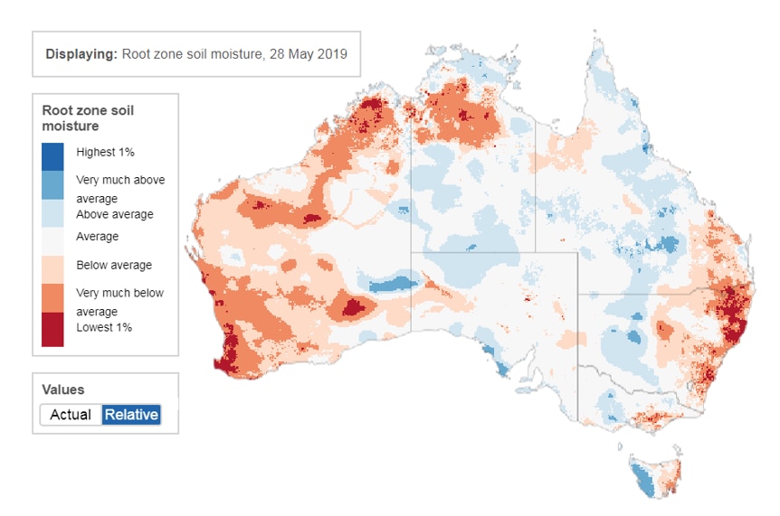 map of Australia, blue in the middle (above average root zone soil moisture) and red along the coasts (below average)