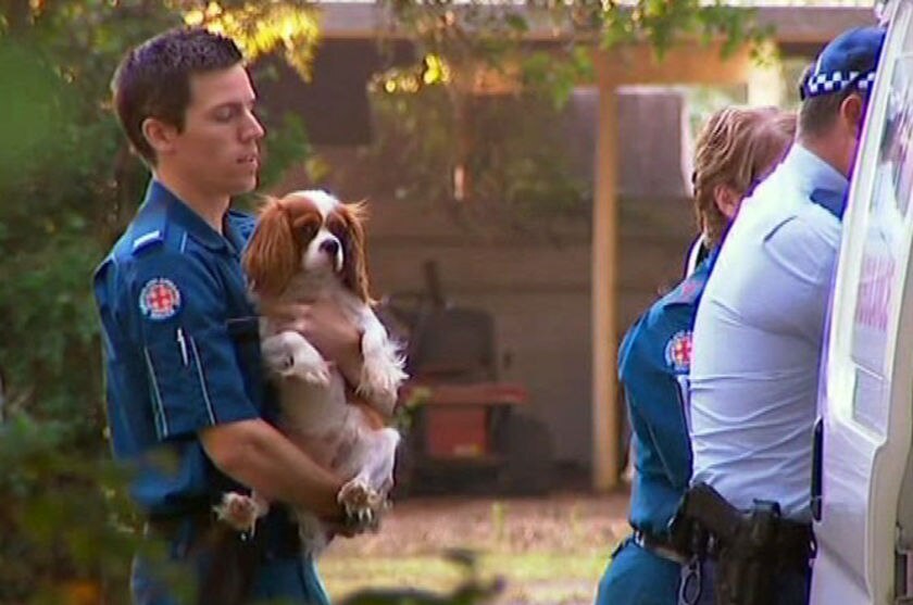 Over a dozen dogs saved from house fire - ABC News