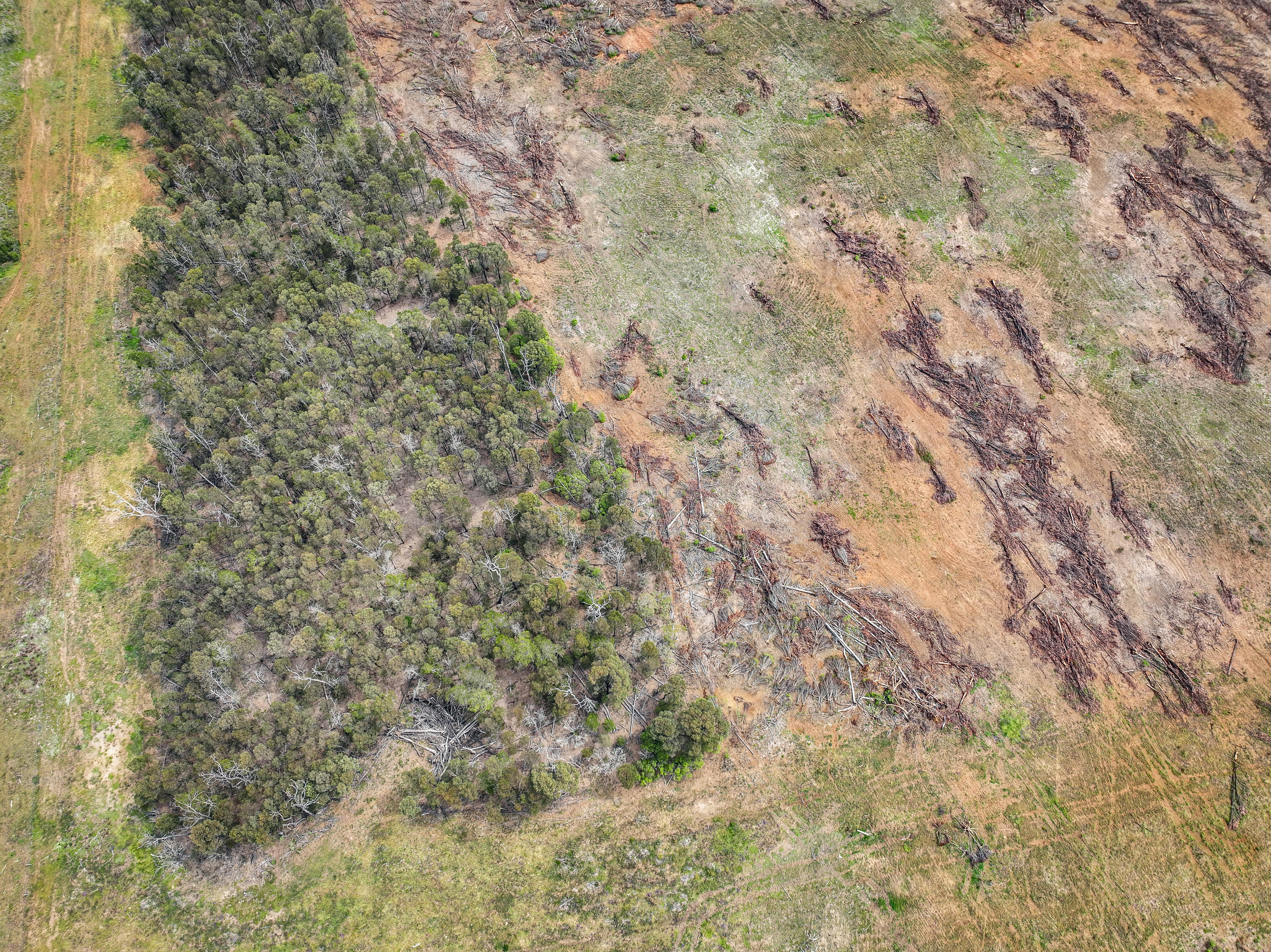 Durong land clearing 2