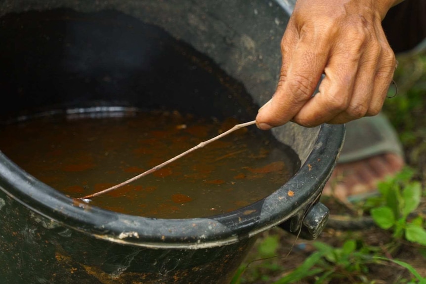 A shot of a bucket filled with orange water