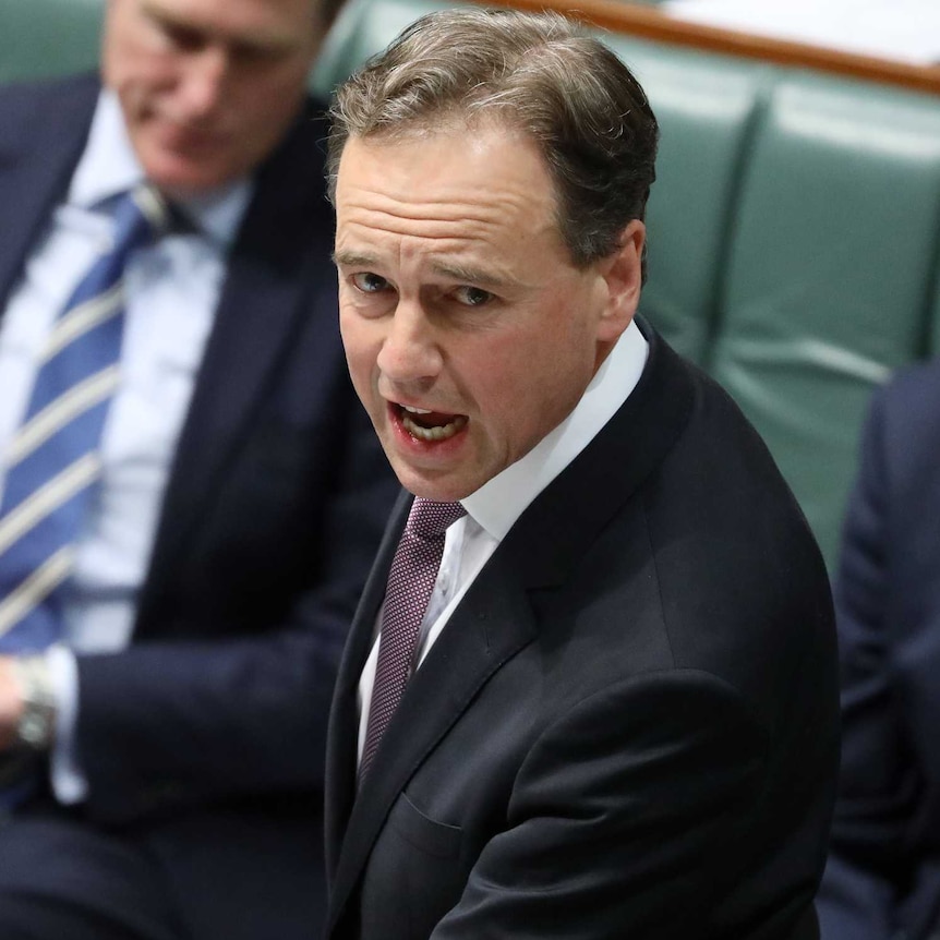 Greg Hunt grips the despatch box during Question Time. Attorney-General Christian Porter is in the background.