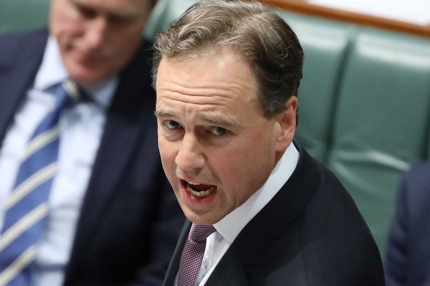 Greg Hunt grips the despatch box during Question Time. Attorney-General Christian Porter is in the background.