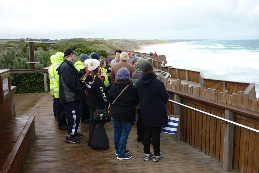 whale spotters at Logan's Beach