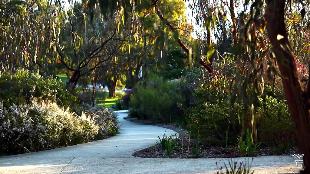 A pathway through native gardens at Kings Park WA.