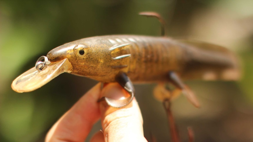 The notorious Darwin axolotl lure that allegedly repels fish