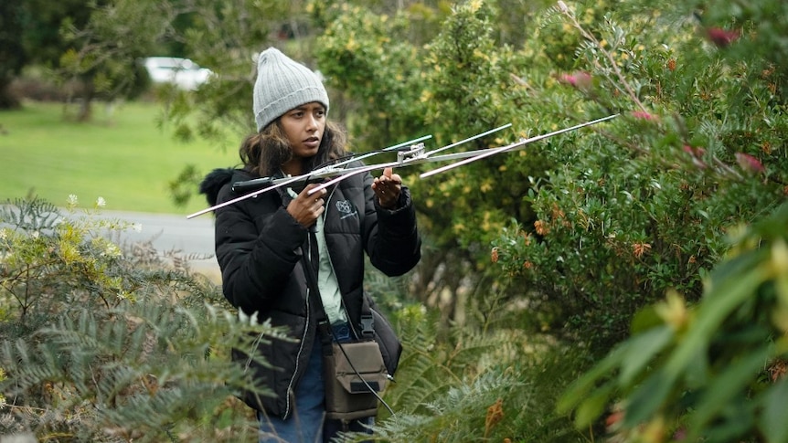 A woman holds an antenna in a bush setting