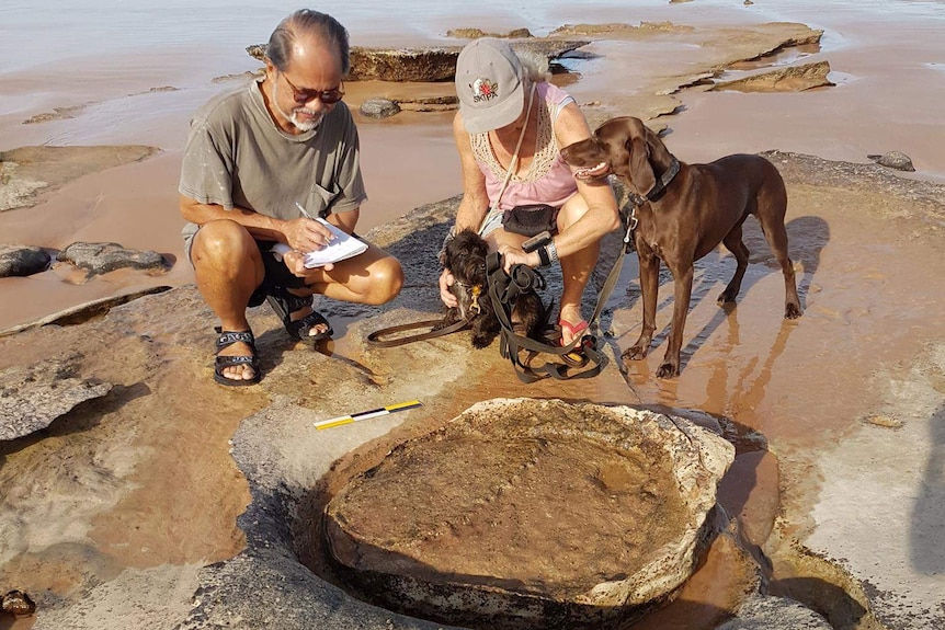 Volunteers examine a dinosaur footprint at the proposed site for a marina in Broome.