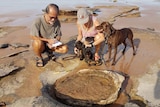 Volunteers examine a dinosaur footprint at the proposed site for a marina in Broome.