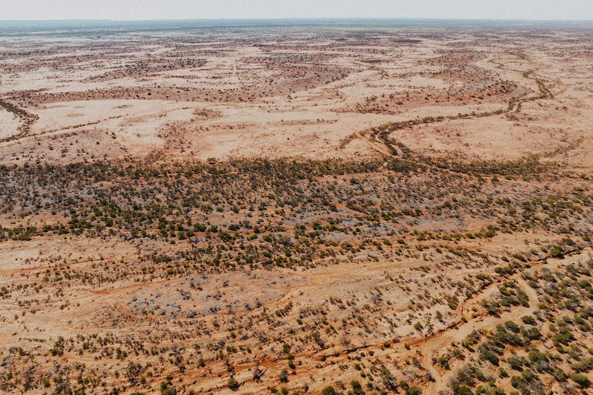 An aerial of a dry, brown cattle station 