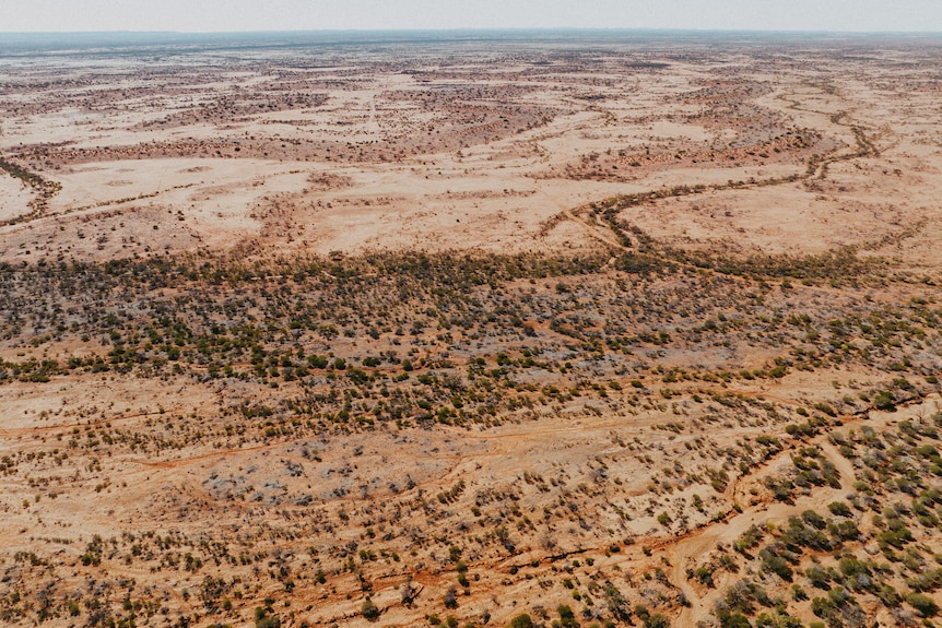 A very dry expanse of land dotted by hative shrubs and bushes