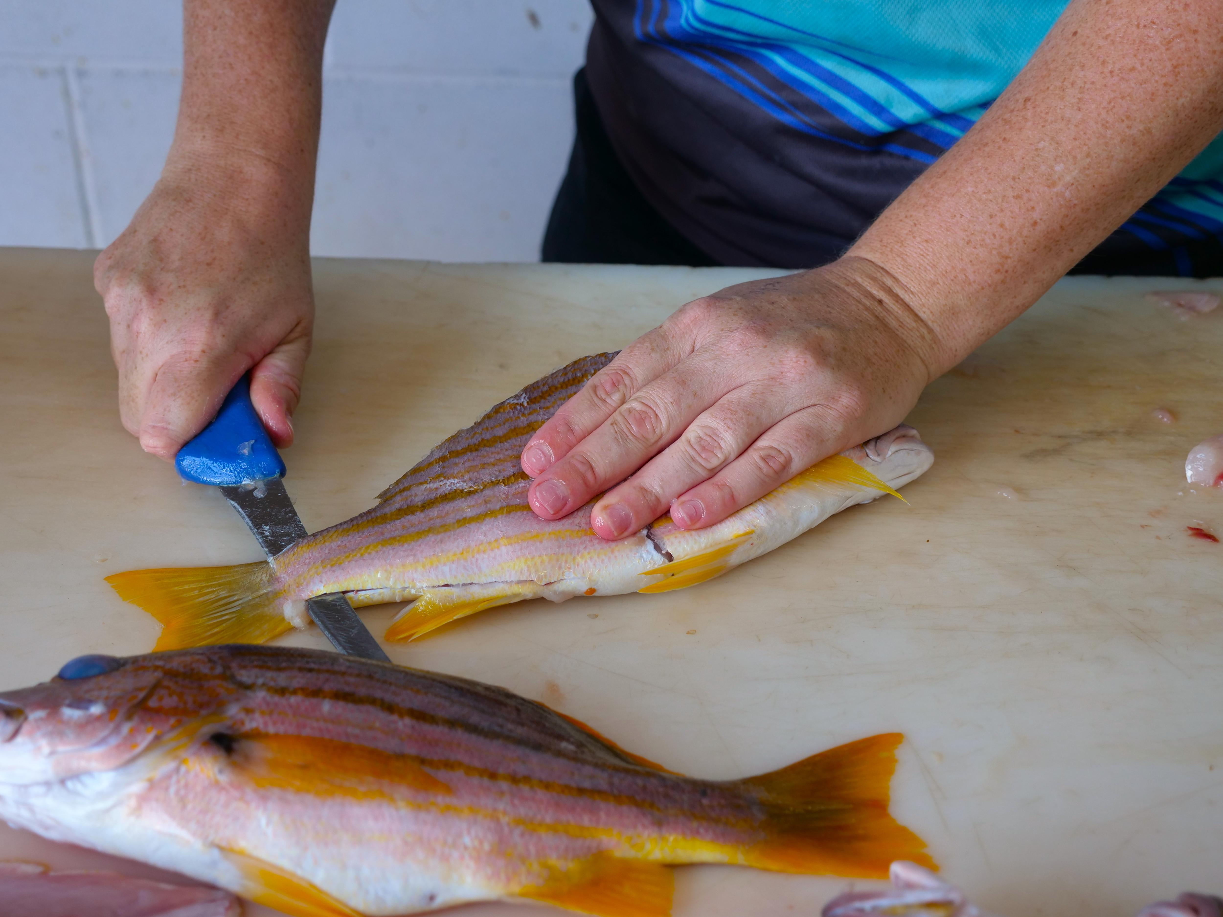 Uma mulher corta um peixe em um quadro branco com uma faca azul.