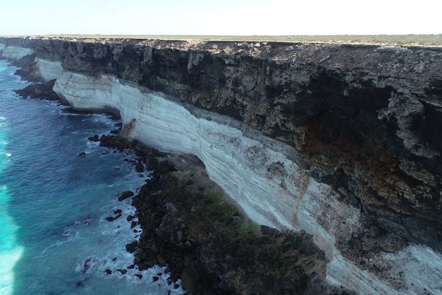 90 metre steep cliffs drop off into land right before the ocean where man seals rest next to crashing waves.
