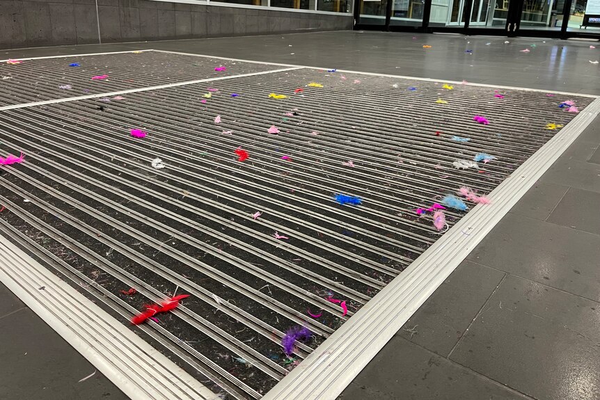 Coloured feathers lay discarded on ground