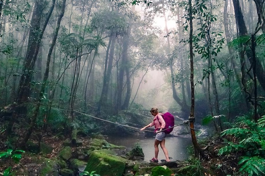 Woman in pink wearing backpack walks across creek, holding rope, in rainforest