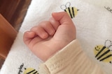 A baby's hand clenched in a fist in a bed with bumble bee printed sheets