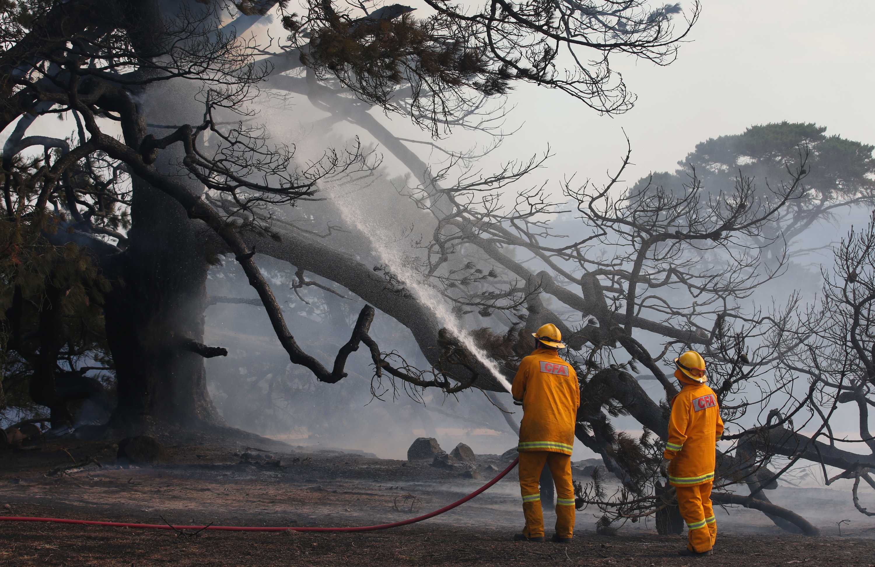 Victorian Bushfires: Crews Work Through The Night To Contain Fire In ...