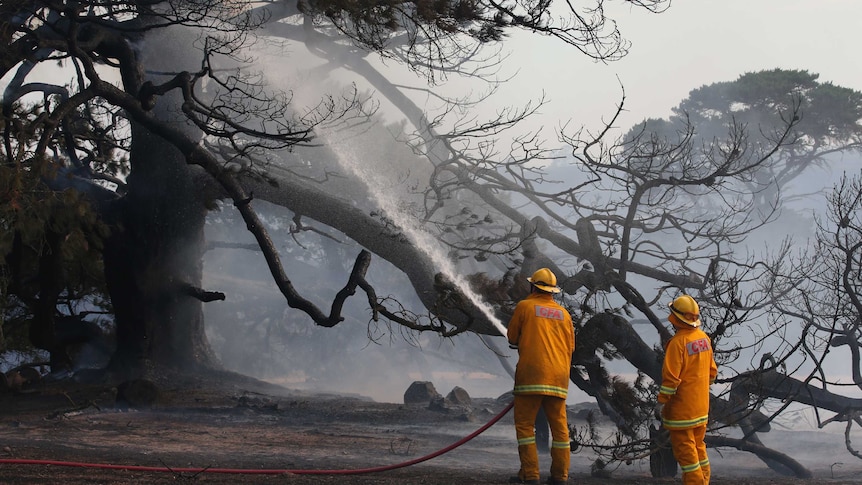Firefighters work to contain a bushfire near Scotsburn