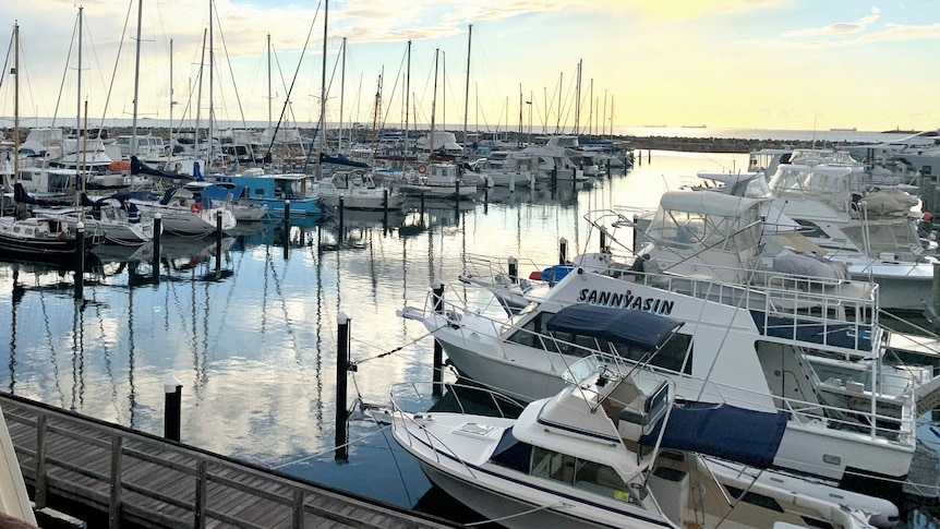 Lines of boats in pens at Fremantle Harbour.