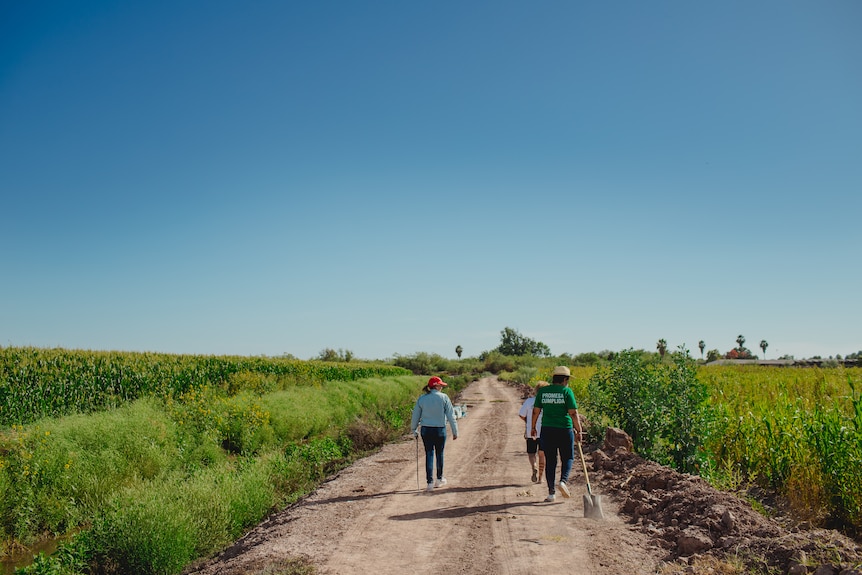 Three women walk down a dirt road in farmland.