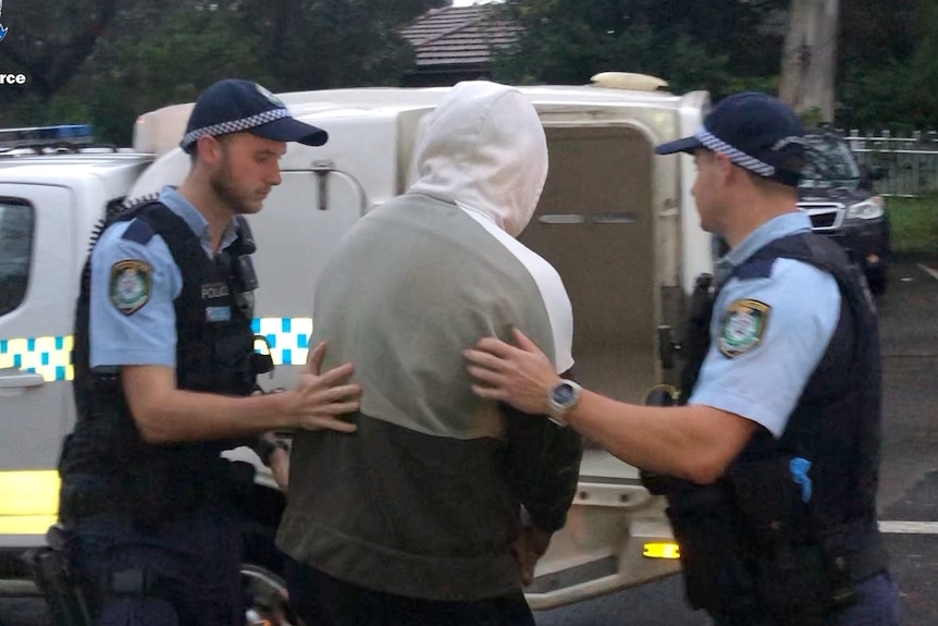 Police arrest a man