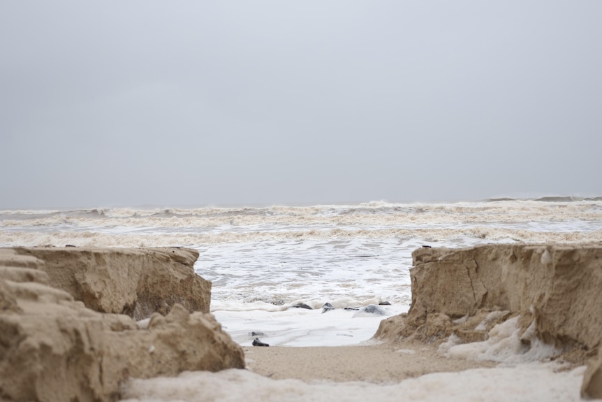 sand with choppy surf behind it